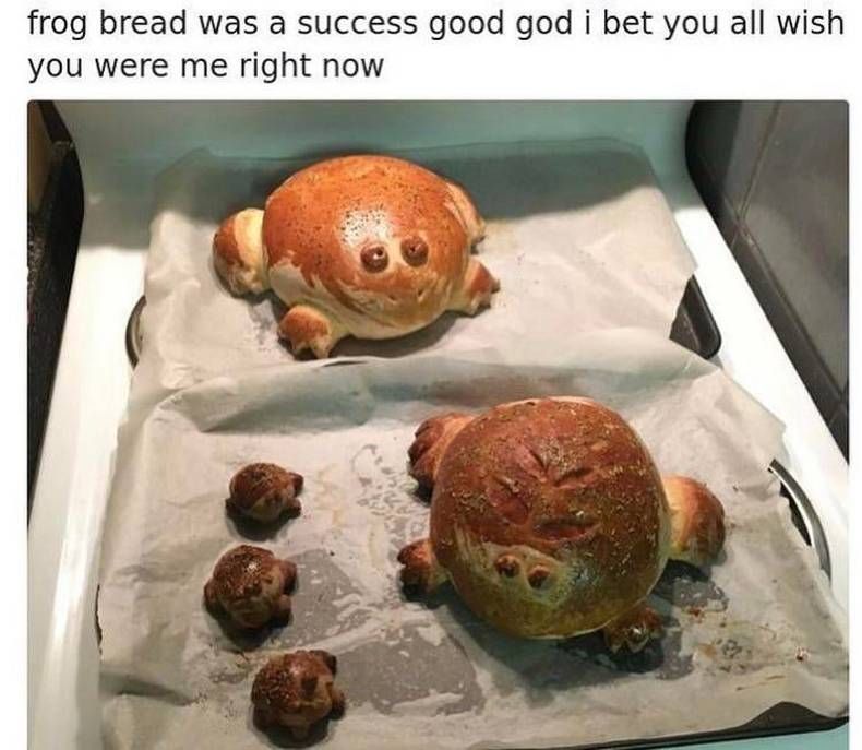 Gewoon een verzameling hilarische foto's #1398