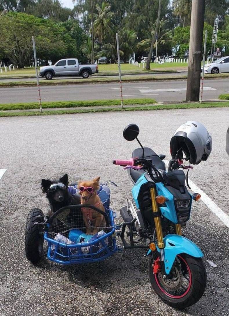 Gewoon een verzameling hilarische foto's #1481