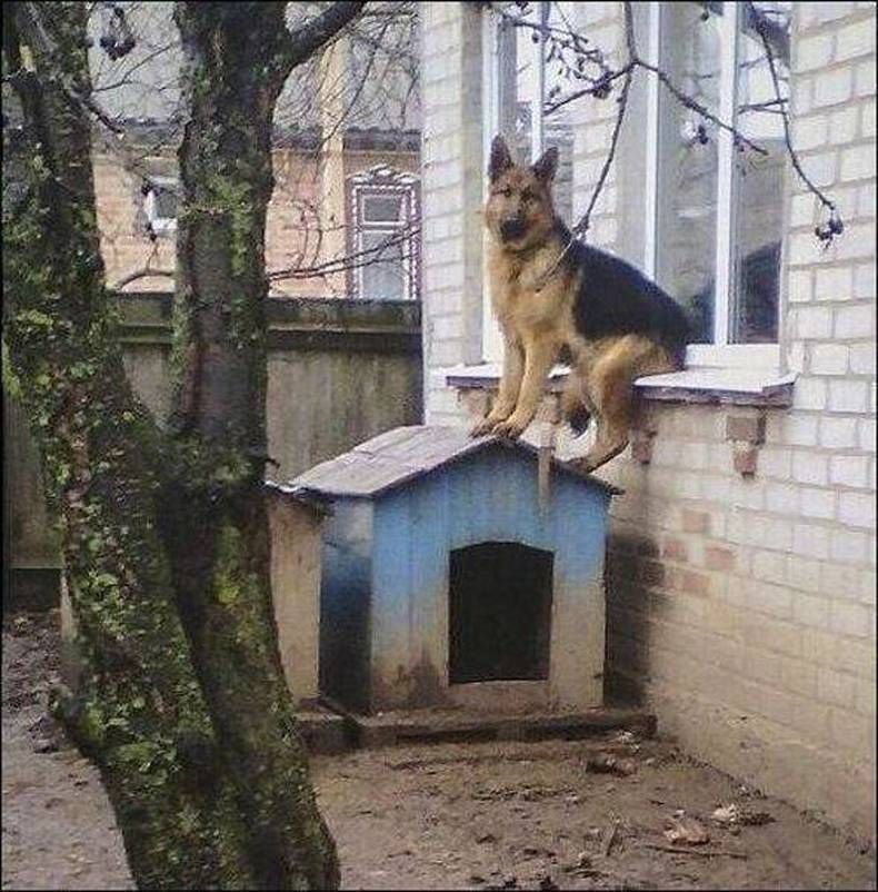 Gewoon een verzameling hilarische foto's #1427