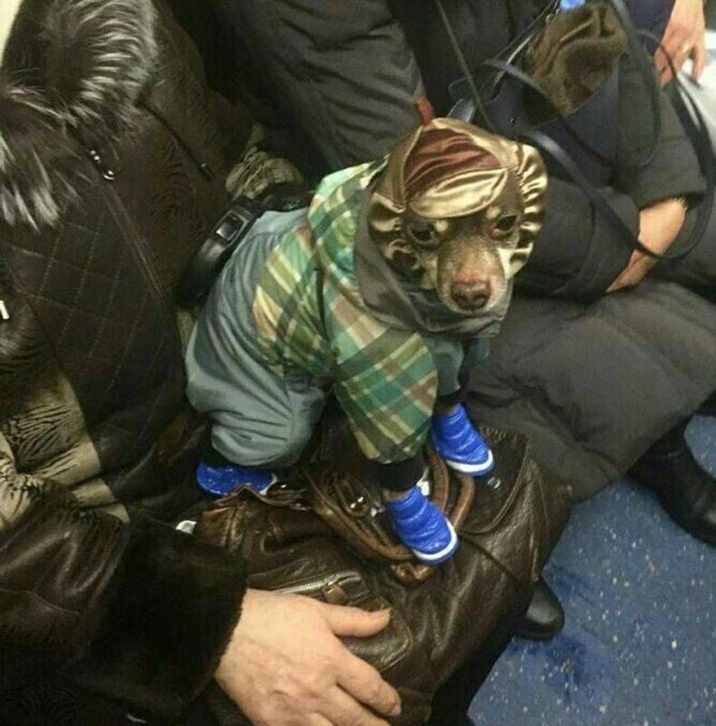 Gewoon een verzameling hilarische foto's #1413