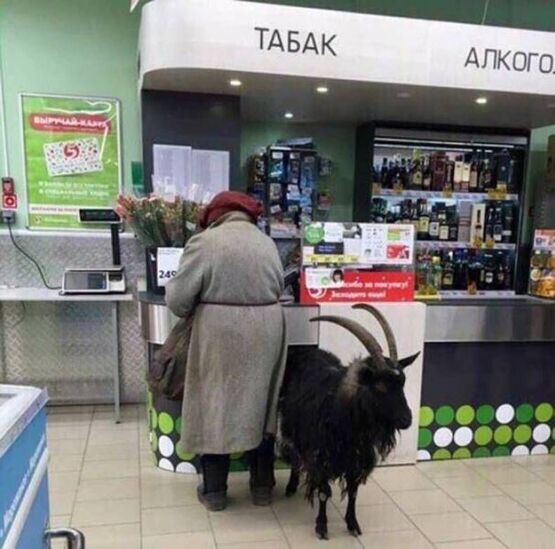 Gewoon een verzameling hilarische foto's #1460