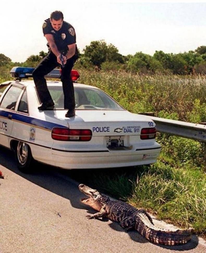 Gewoon een verzameling hilarische foto’s #1397