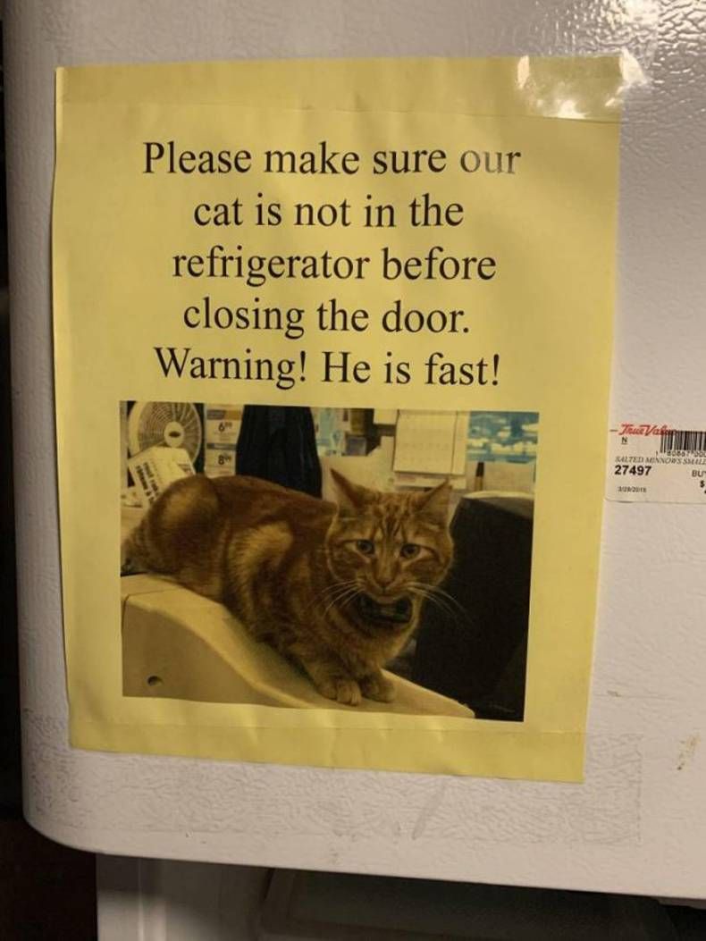 Gewoon een verzameling hilarische foto's #1456
