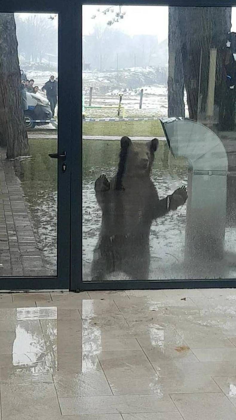Gewoon een verzameling hilarische foto's #1406