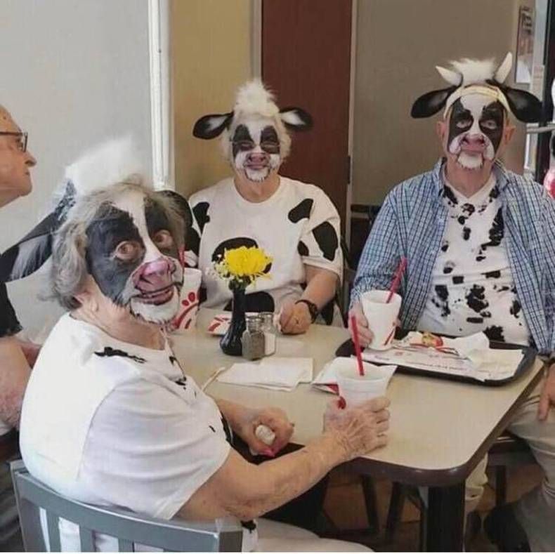 Gewoon een verzameling hilarische foto's #1448