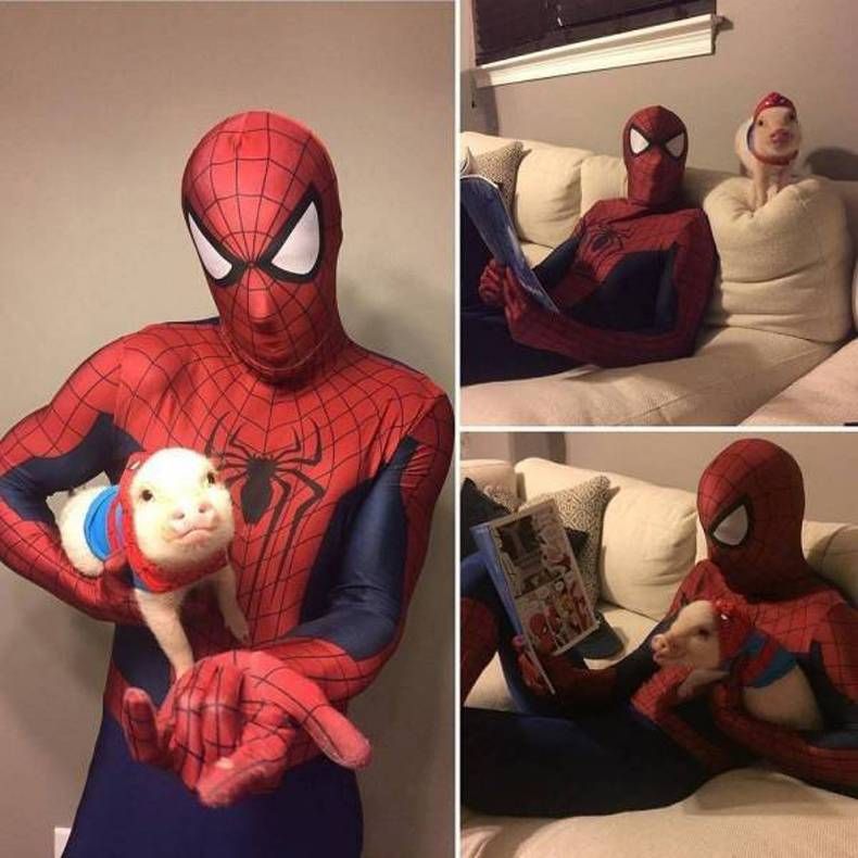 Gewoon een verzameling hilarische foto's #1452