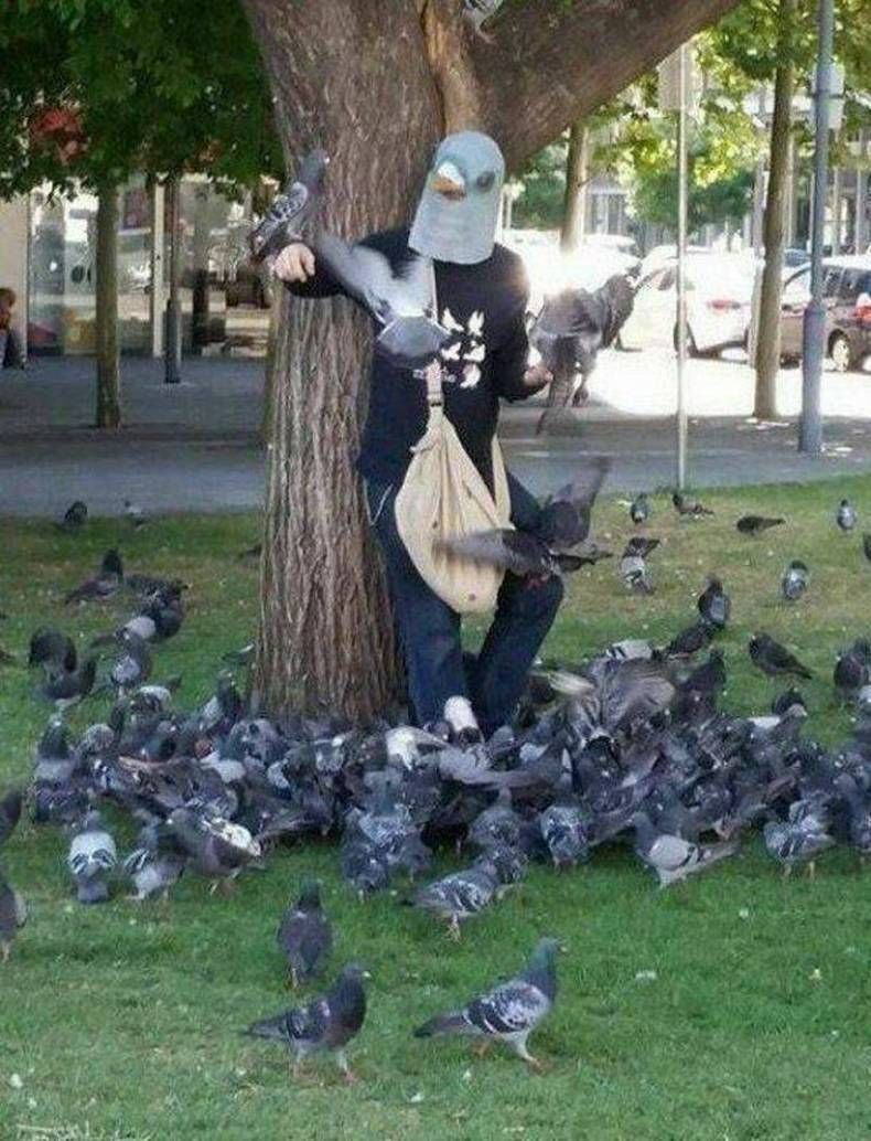Gewoon een verzameling hilarische foto's #1415