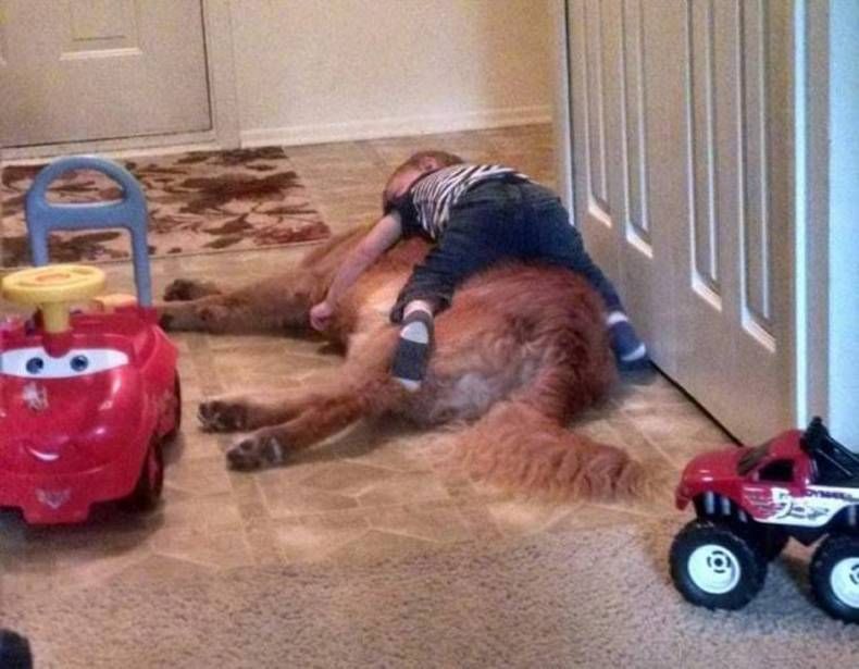 Gewoon een verzameling hilarische foto's #1402