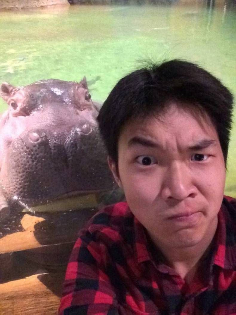 Gewoon een verzameling hilarische foto's #1425