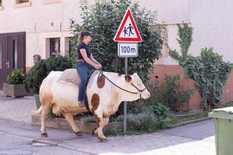 Gewoon een verzameling hilarische foto's #1471