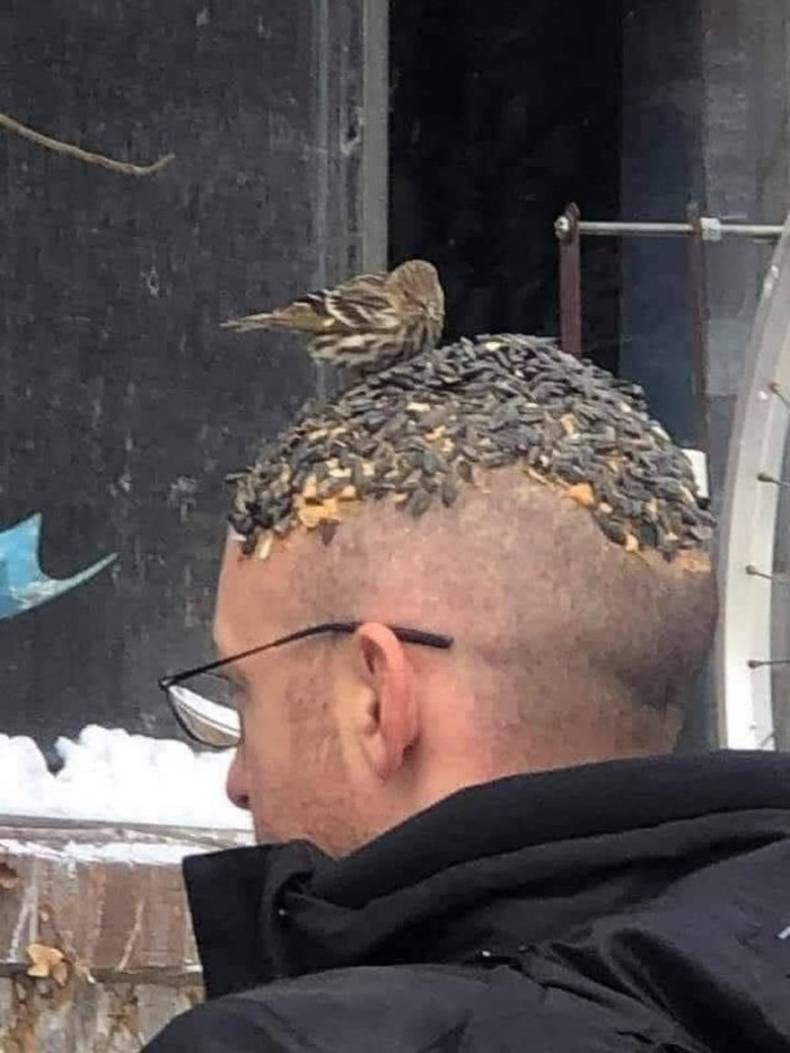 Gewoon een verzameling hilarische foto's #1408