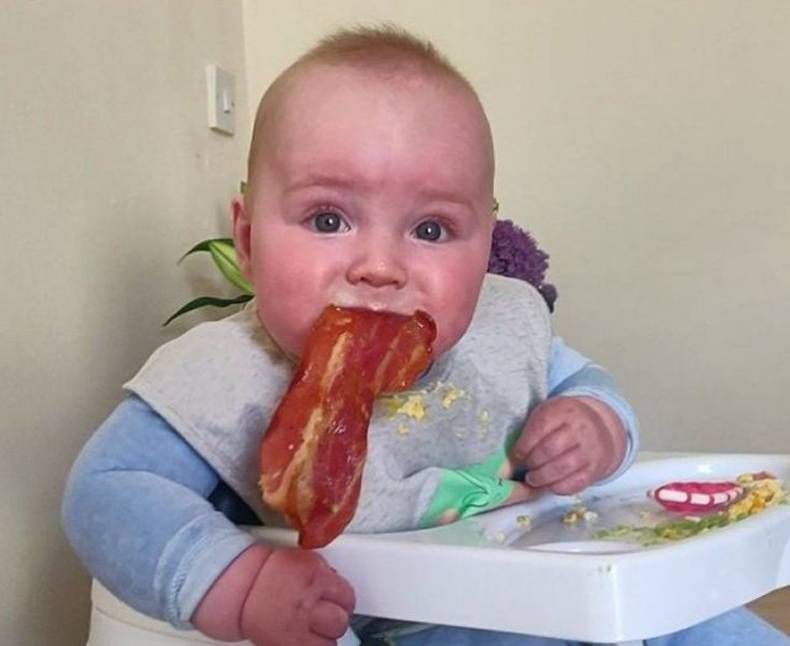 Gewoon een verzameling hilarische foto's #1470