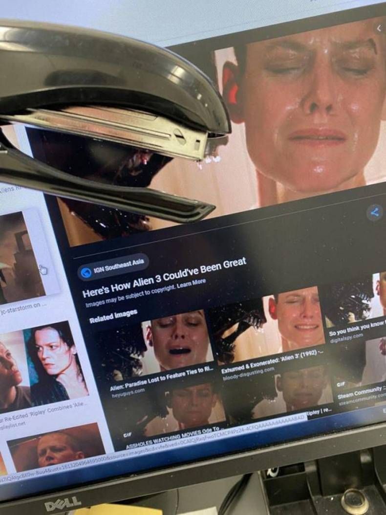 Gewoon een verzameling hilarische foto's #1403
