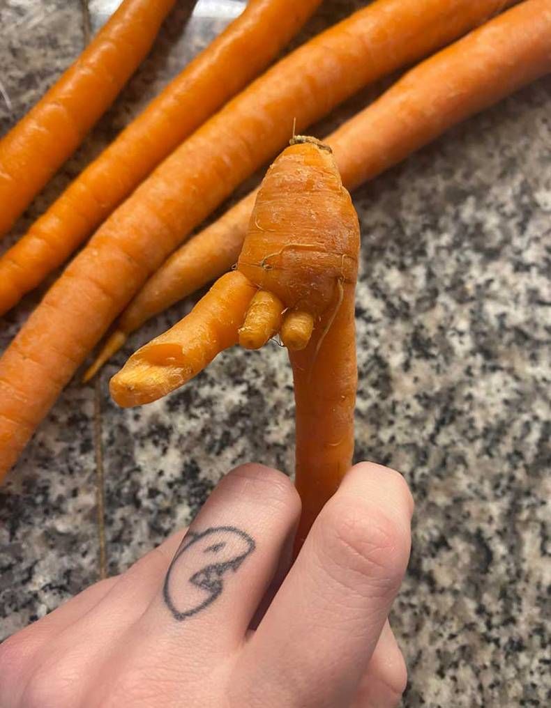 Gewoon een verzameling hilarische foto's #1448