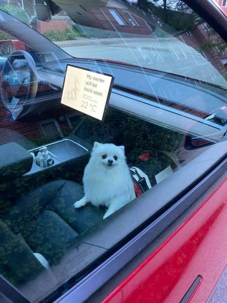 Gewoon een verzameling hilarische foto's #1472