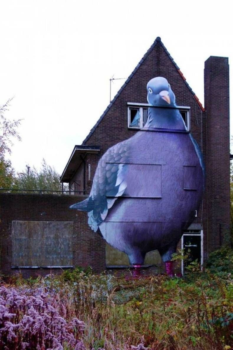 Gewoon een verzameling hilarische foto's #1425