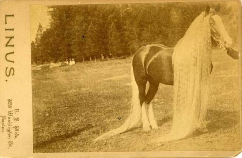 Gewoon een verzameling hilarische foto’s #1480