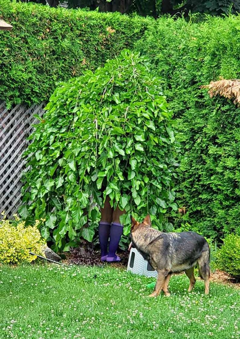 Gewoon een verzameling hilarische foto's #1460