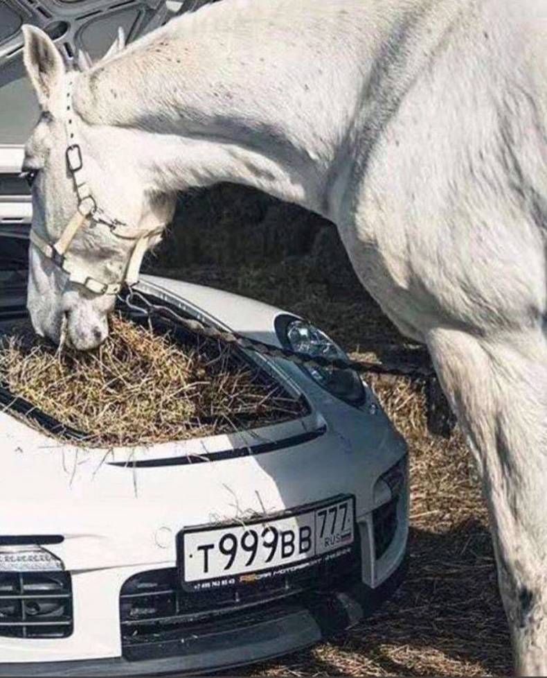 Gewoon een verzameling hilarische foto's #1470