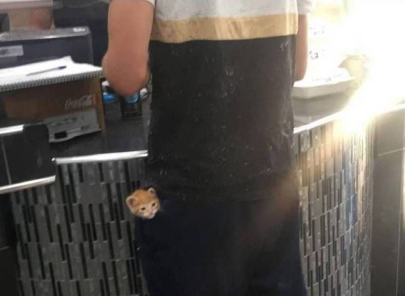 Gewoon een verzameling hilarische foto's #1413