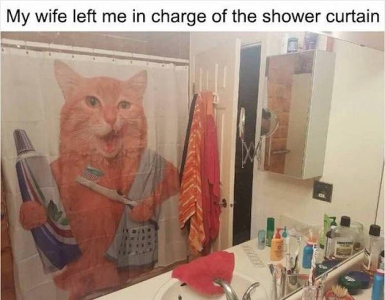 Gewoon een verzameling hilarische foto's #1470