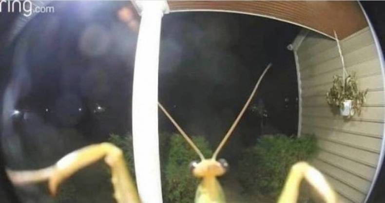 Gewoon een verzameling hilarische foto's #1418