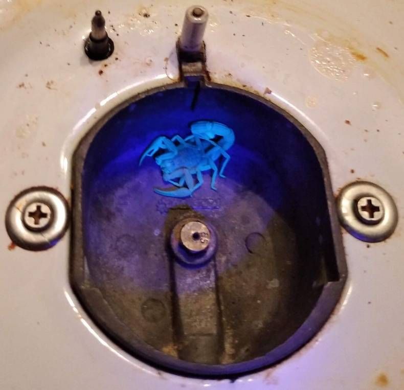 Gewoon een verzameling hilarische foto's #1481