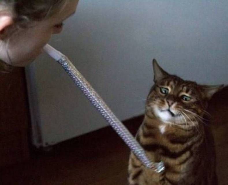 Gewoon een verzameling hilarische foto's #1472