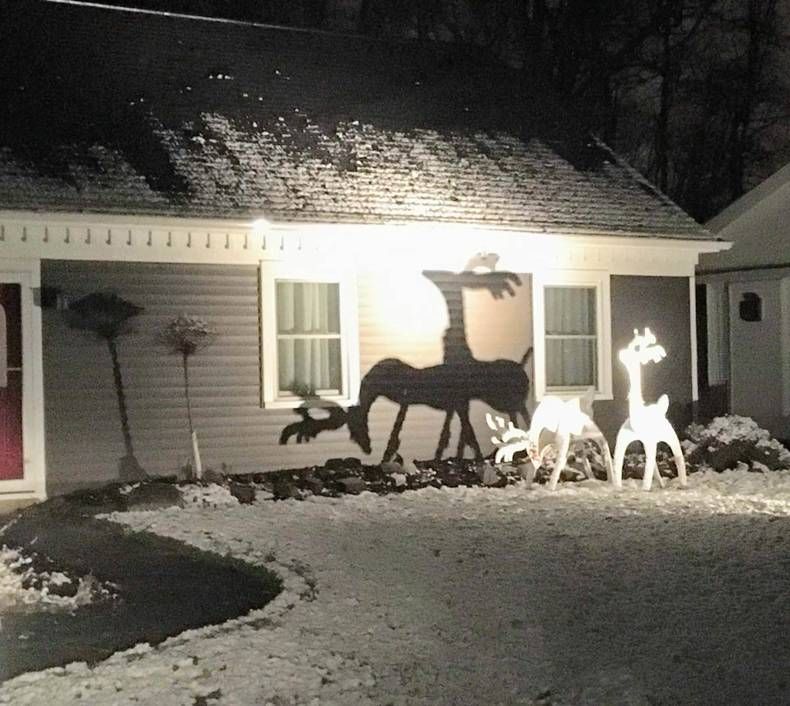 Gewoon een verzameling hilarische foto's #1379