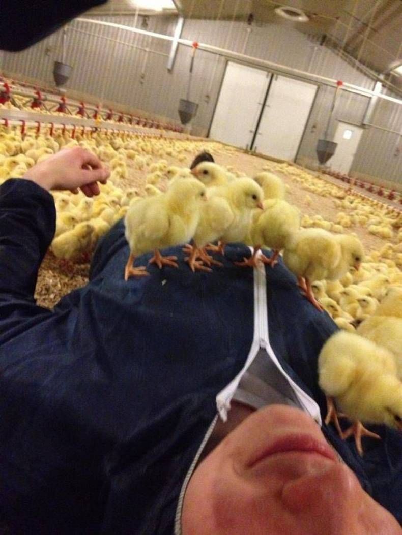 Gewoon een verzameling hilarische foto's #1411