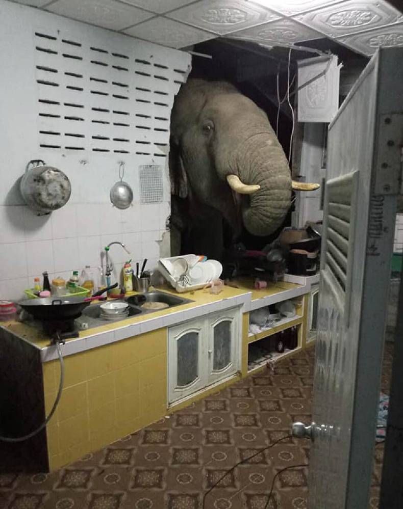Gewoon een verzameling hilarische foto’s #1457