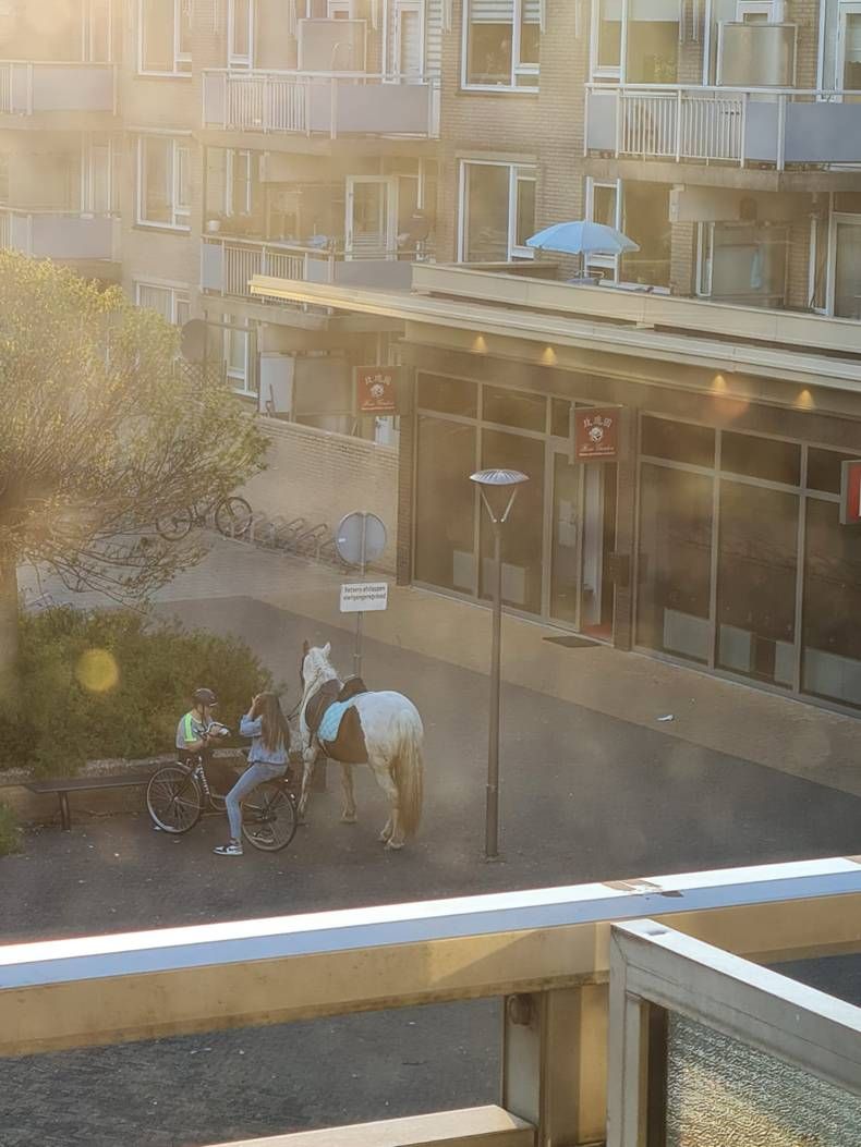 Gewoon een verzameling hilarische foto's #1447