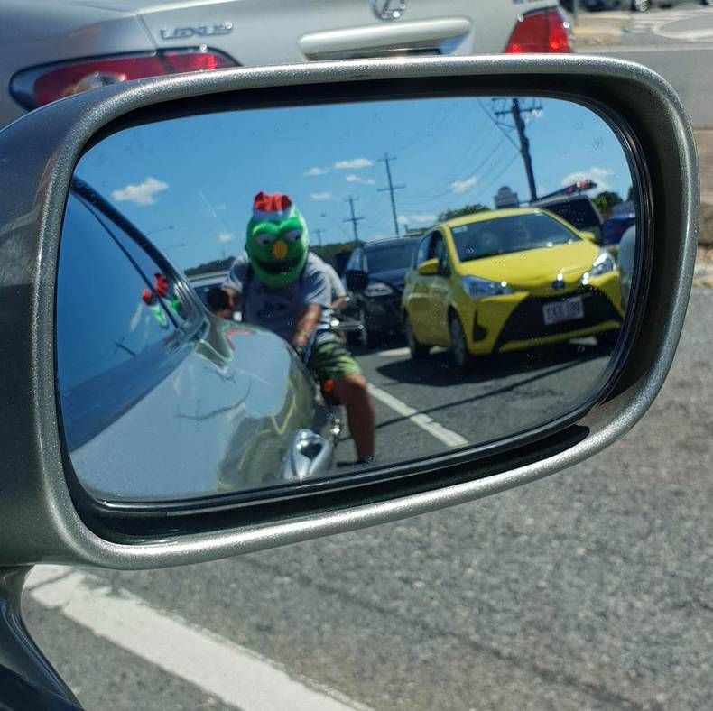 Gewoon een verzameling hilarische foto's #1430