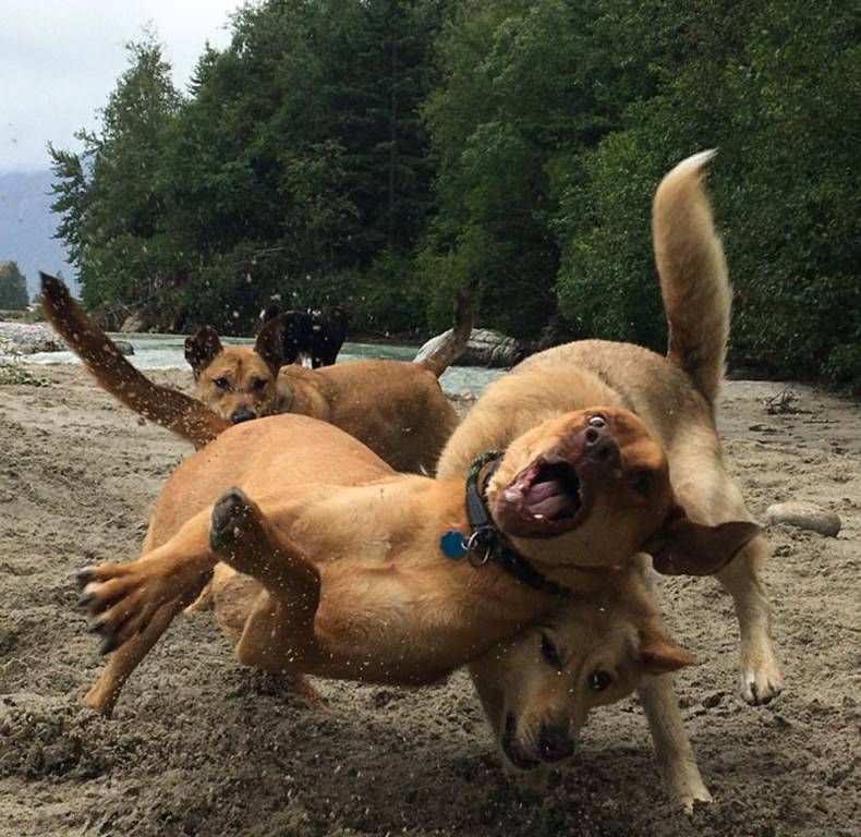 Gewoon een verzameling hilarische foto’s #1480