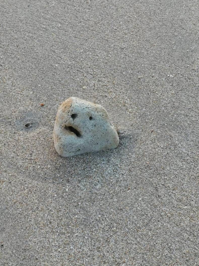 Gewoon een verzameling hilarische foto's #1379