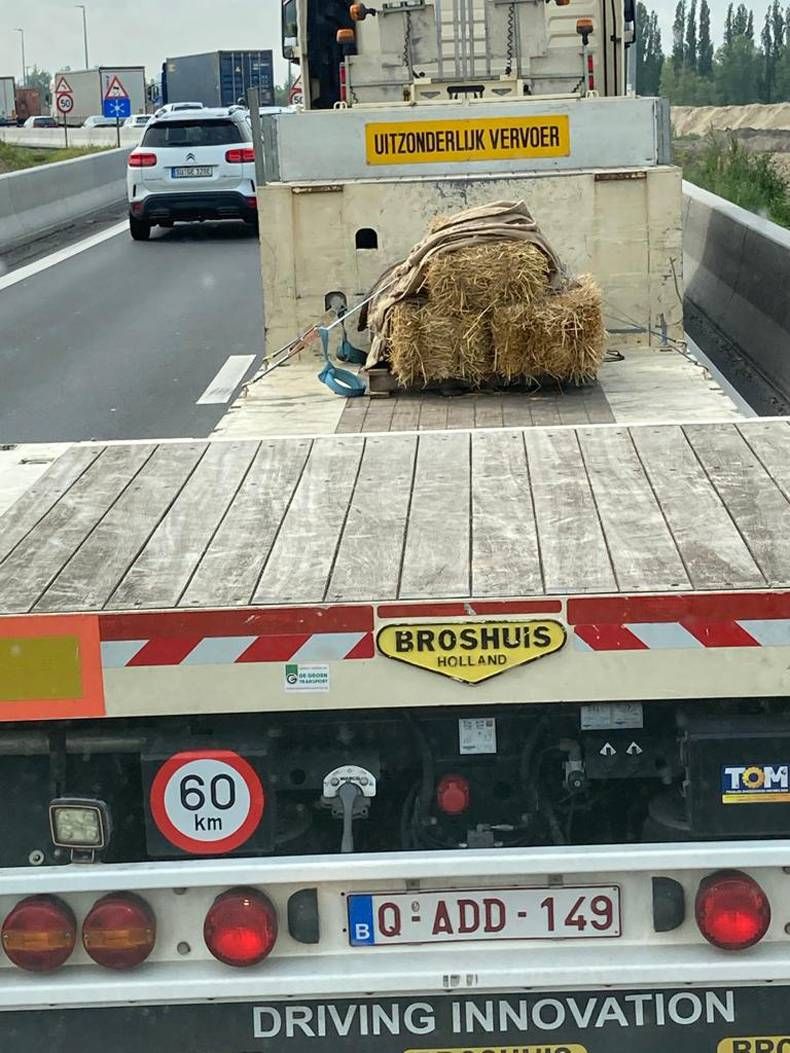 Gewoon een verzameling hilarische foto's #1448