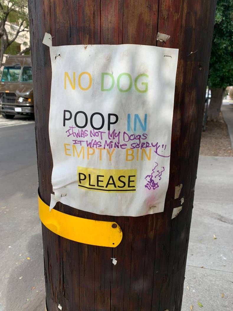 Gewoon een verzameling hilarische foto's #1385
