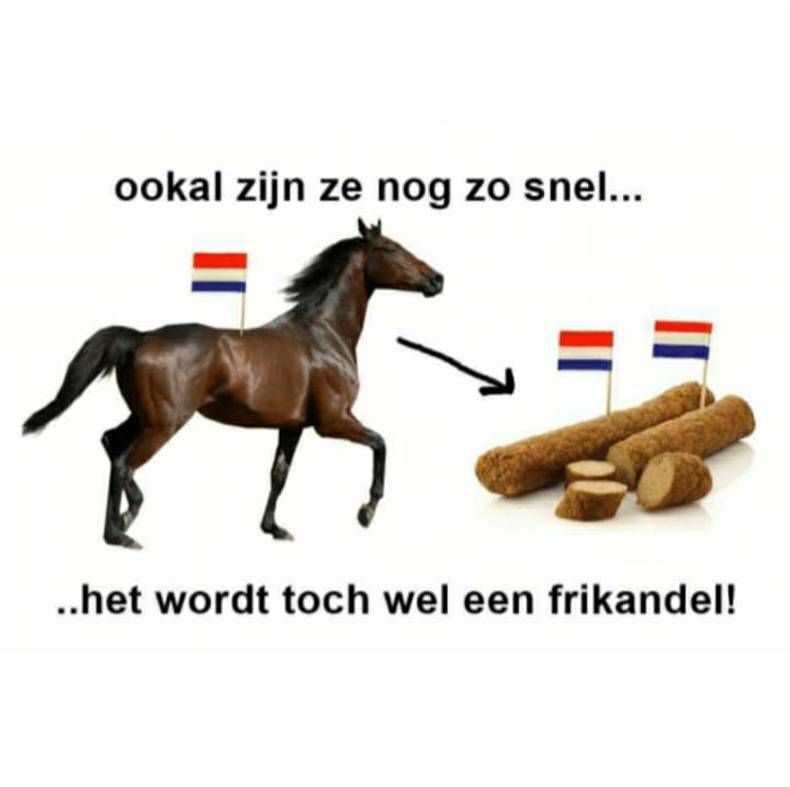 Gewoon een verzameling hilarische foto's #1475