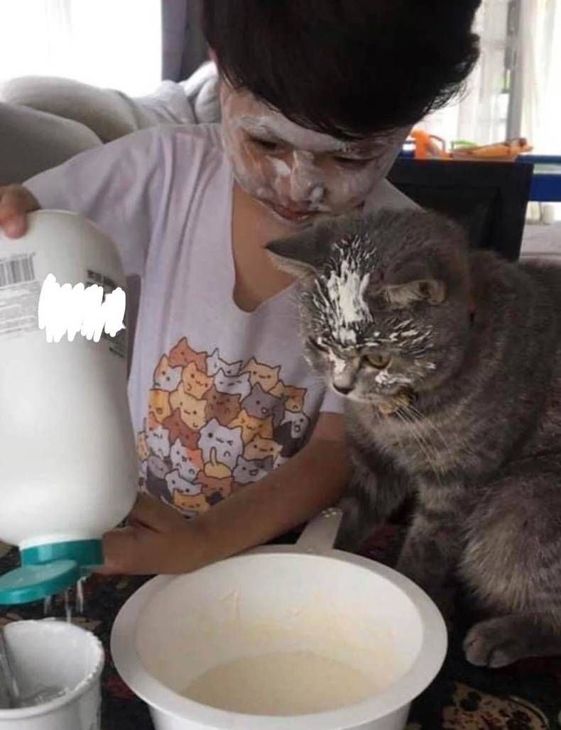 Gewoon een verzameling hilarische foto's #1384
