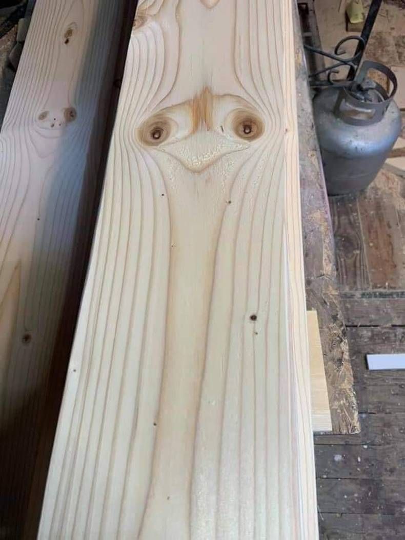 Gewoon een verzameling hilarische foto's #1429
