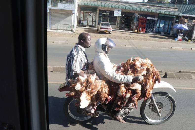 Gewoon een verzameling hilarische foto's #1470
