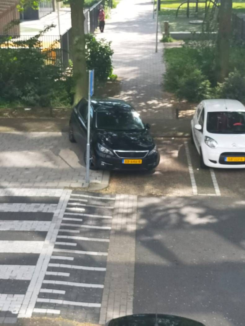 Gewoon een verzameling hilarische foto's #1448