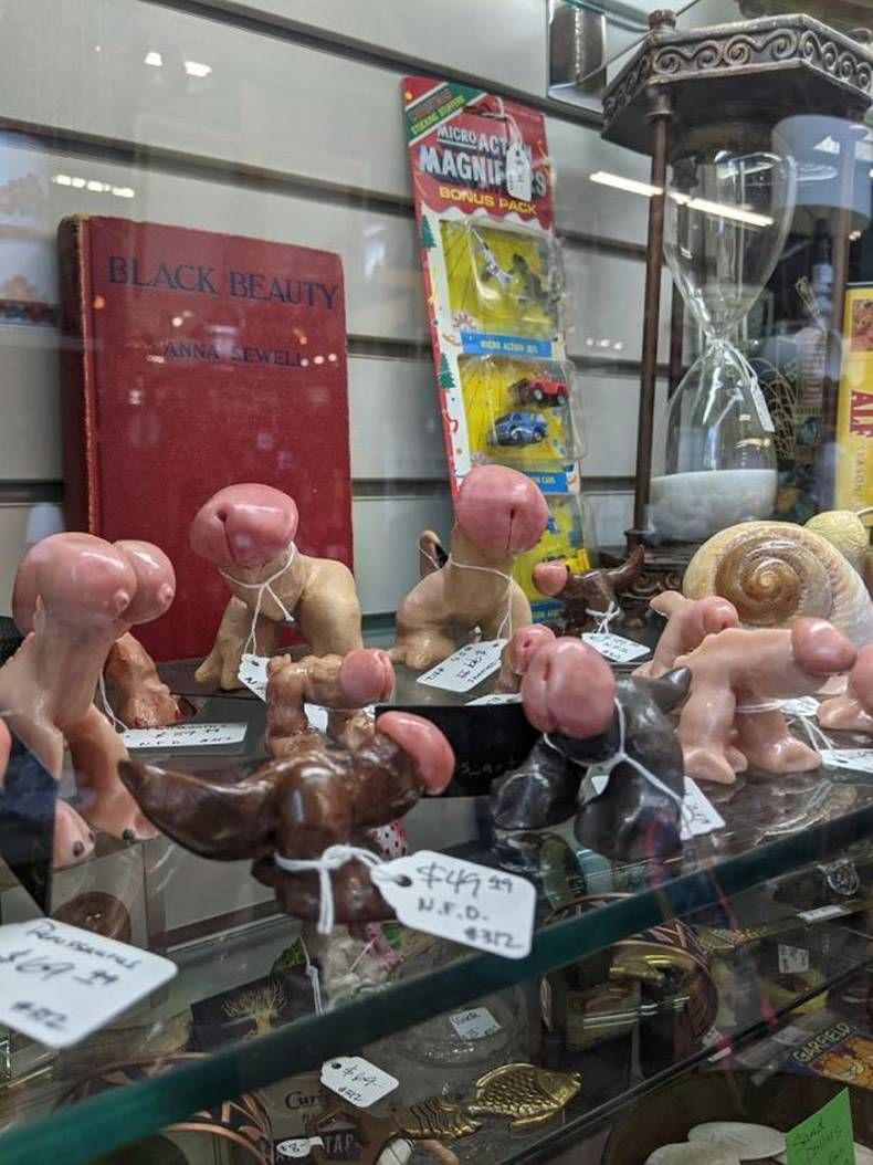 Gewoon een verzameling hilarische foto’s #1480