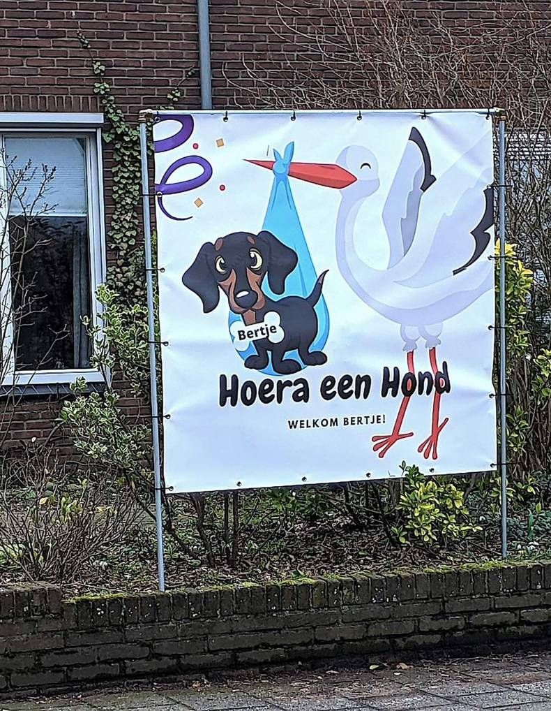 Gewoon een verzameling hilarische foto's #1406