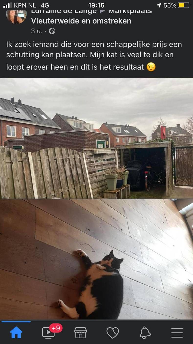 Gewoon een verzameling hilarische foto's #1405