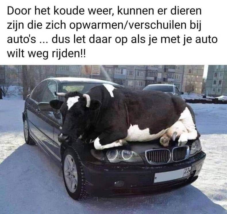 Gewoon een verzameling hilarische foto's #1403