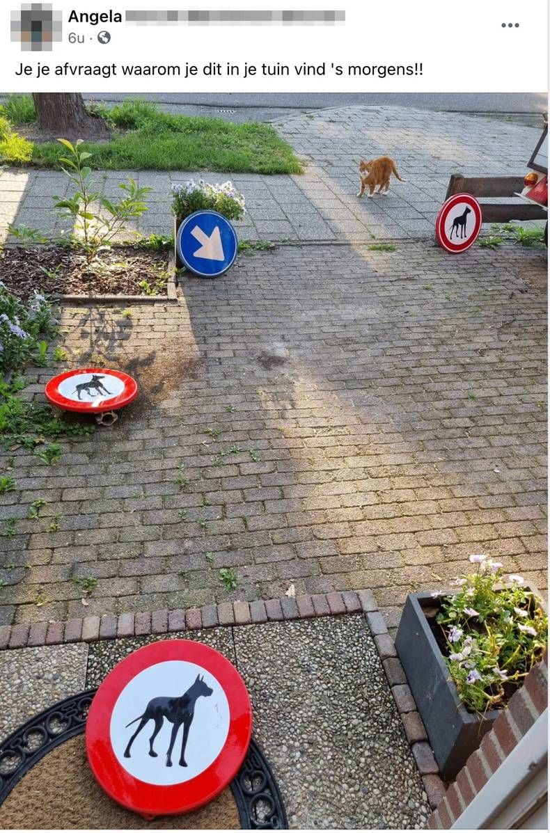 Gewoon een verzameling hilarische foto's #1470