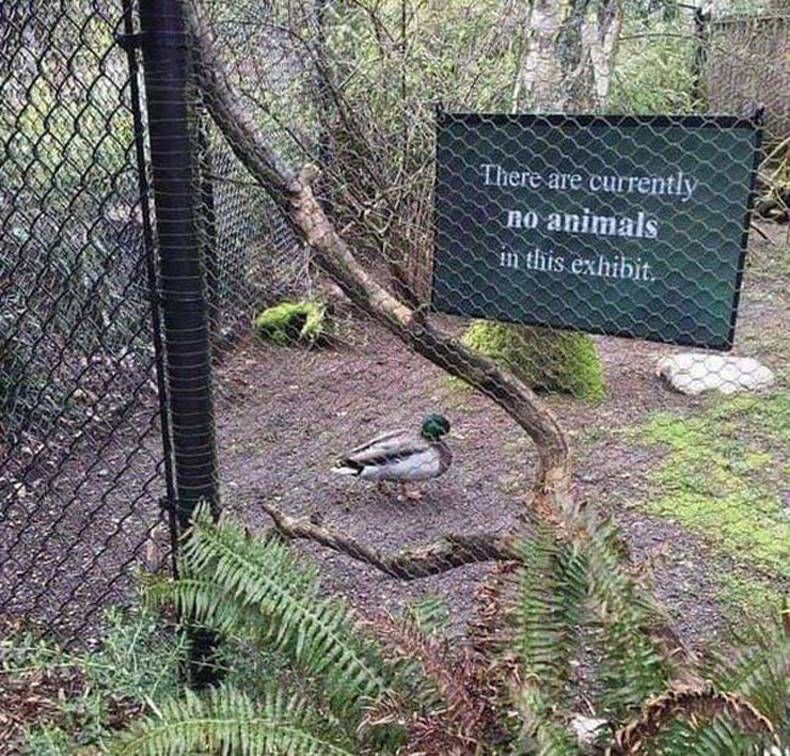Gewoon een verzameling hilarische foto's #1424