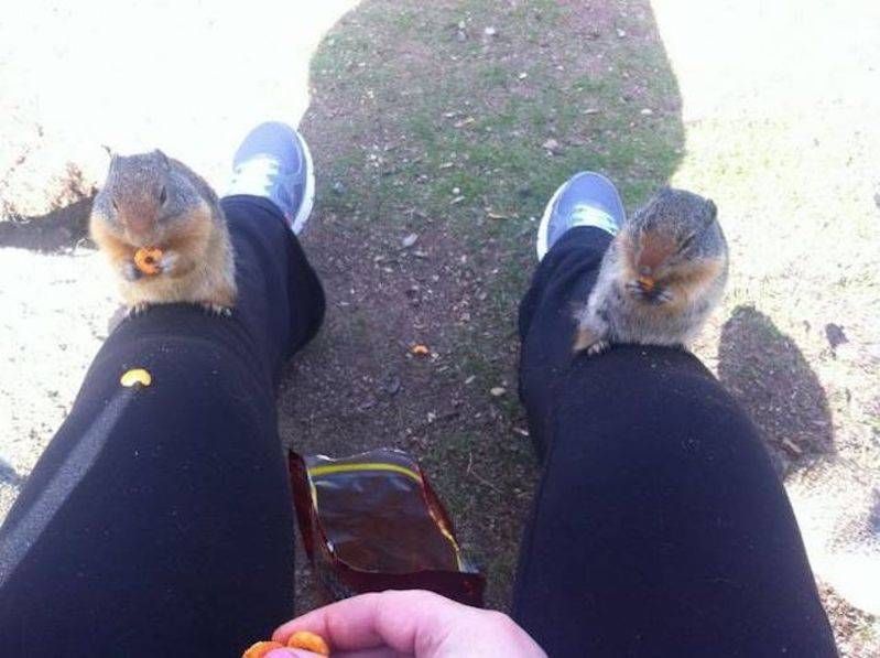 Gewoon een verzameling hilarische foto’s #796