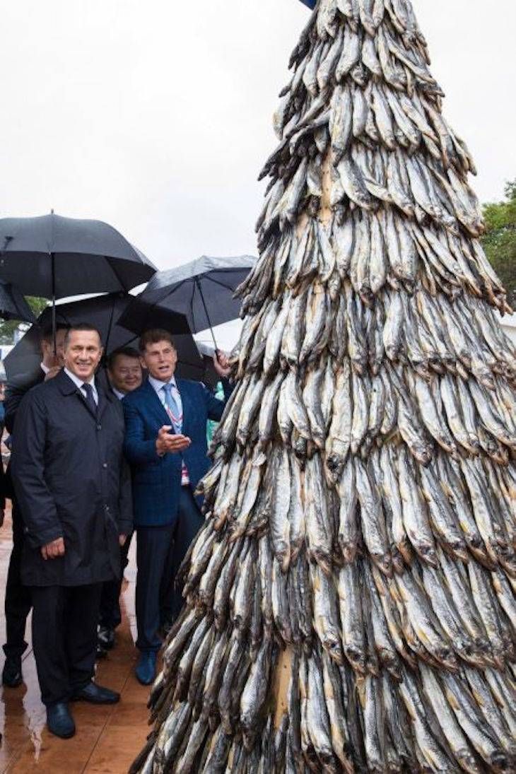 Gewoon een verzameling hilarische foto's #706
